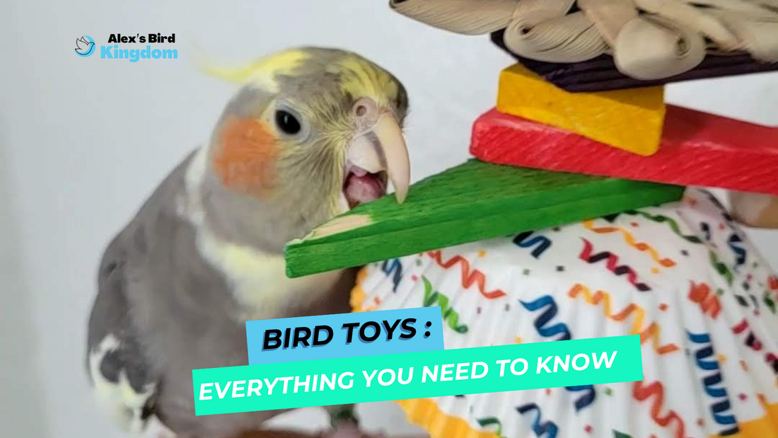Alex Bird Toys: handamde bird toys for small, medium and big birds