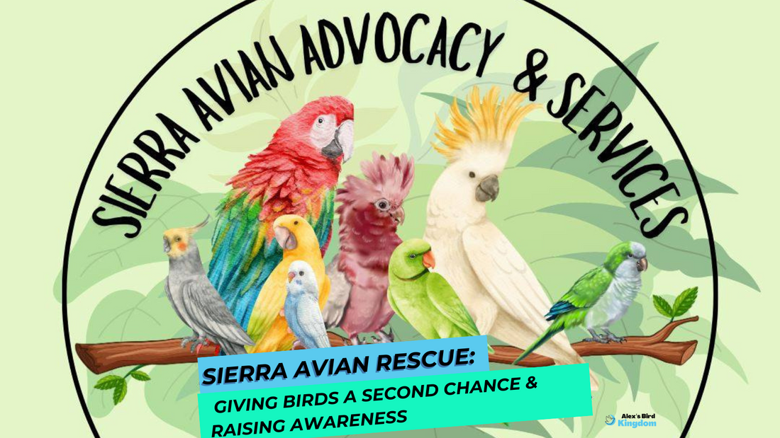 Sierra Avian Rescue: Giving Birds a Second Chance & Raising Awareness