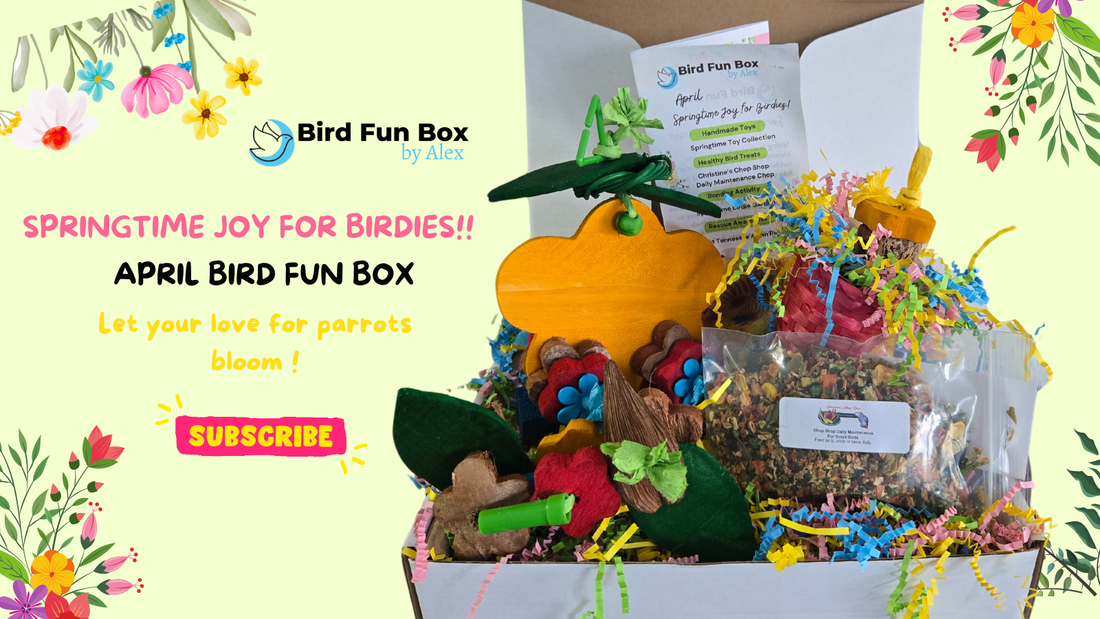 April Bird Fun Box: Springtime Joy for Birdies!