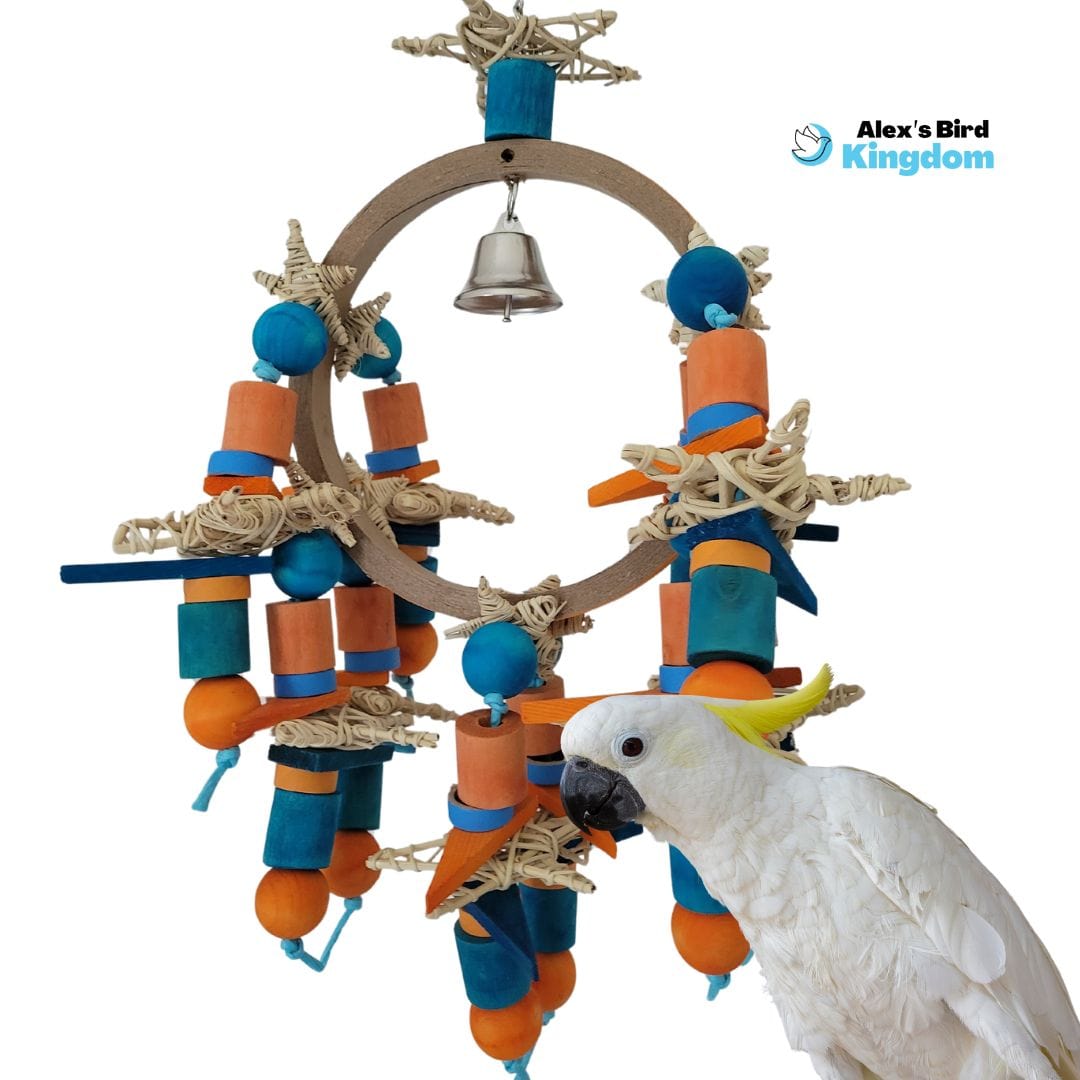 Big Avian Swing for Large Parrots– Fun & Enrichment by Alex Bird
