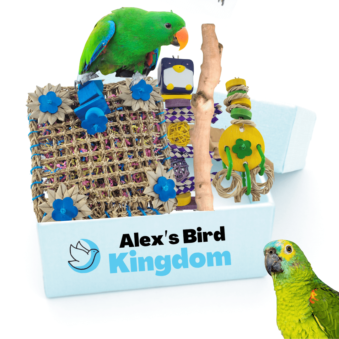 Deluxe Large Parrot Enrichment Kit Alex s Bird Kingdom