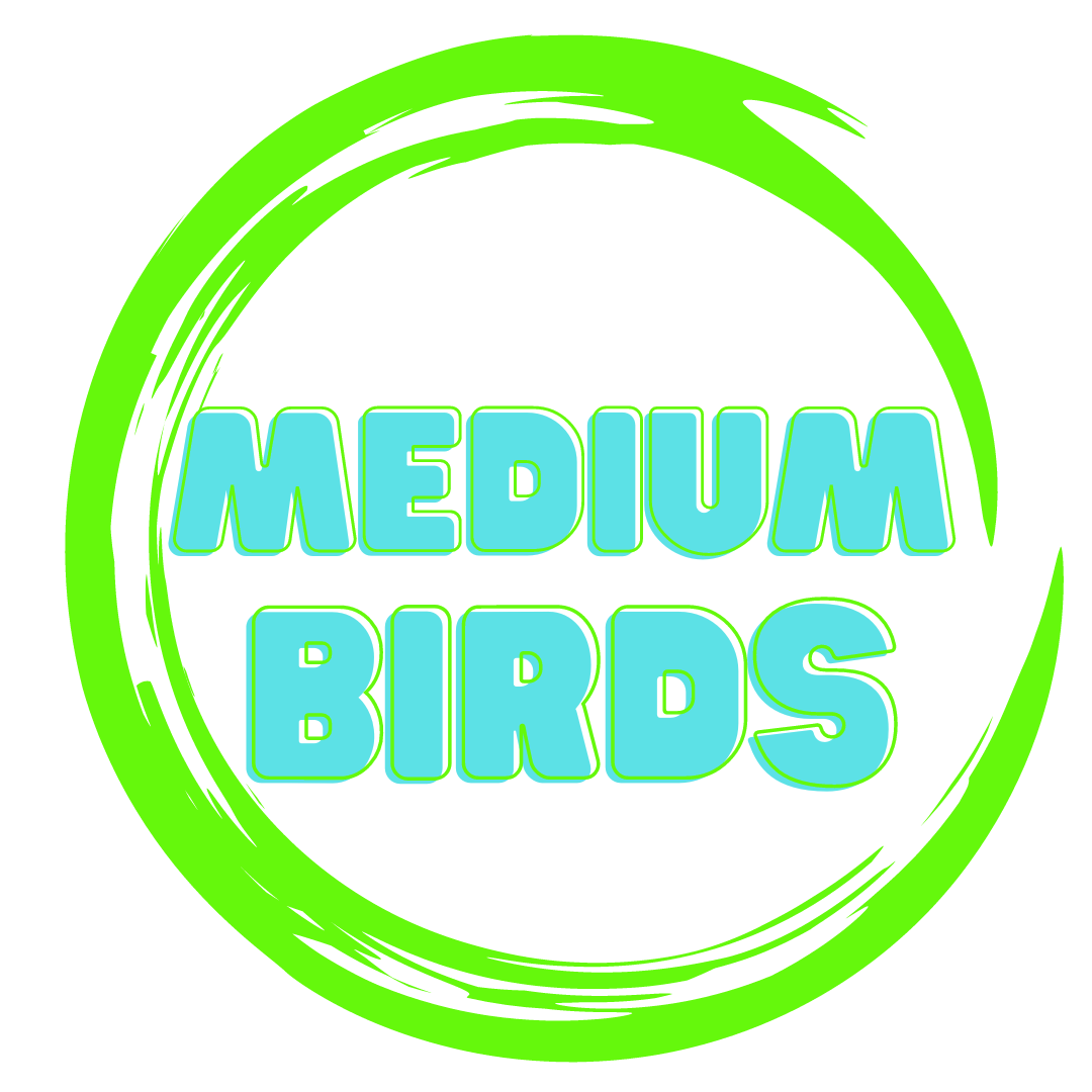 Alex Bird toys- handmade toys designed for medium parrots like conures, caiques, Quakers, Ringnecks, and other medium birds