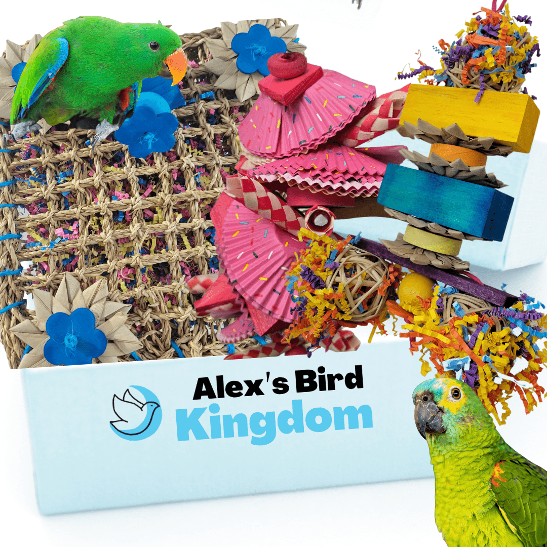 Large Parrot Toy Bundle Enrichment Bird Toy Set for Big Birds