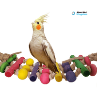 Alex Bird Toys Bird Toys Feathered Friend Fun Bridge for Small Birds
