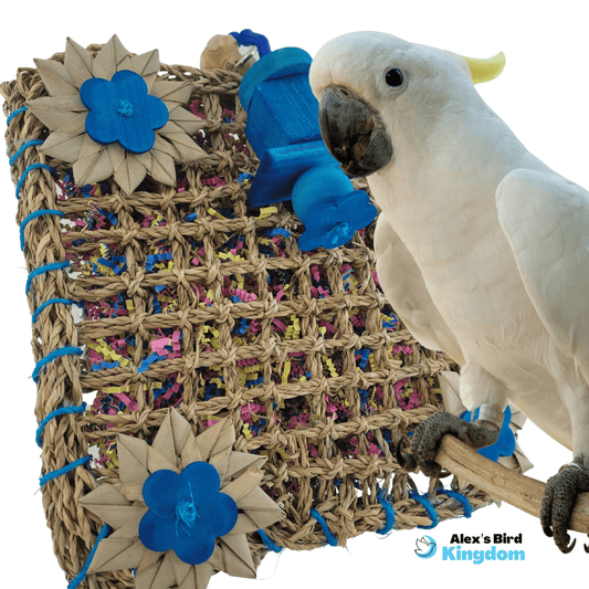 Seagrass activity wall for large birds with foraging toy attachments