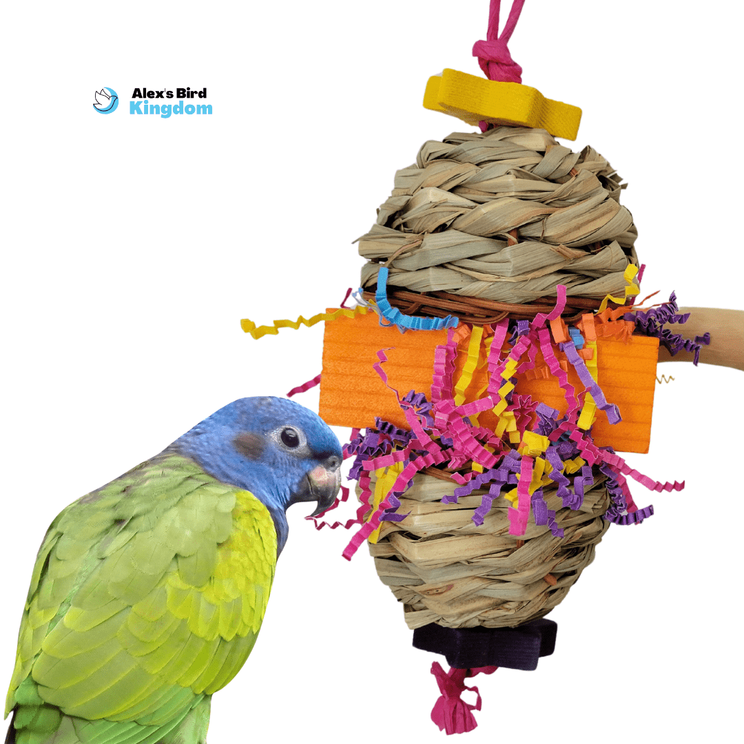 Foraging toy for medium parrots – designed for treat-hiding and engagement