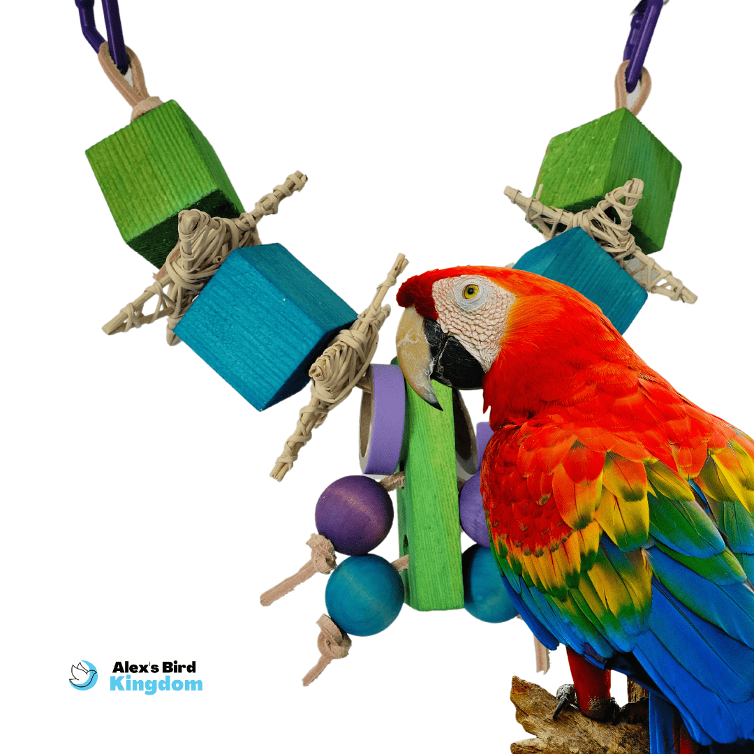 Majestic Enrichment Cube Bird Toy Alex s Bird Kingdom
