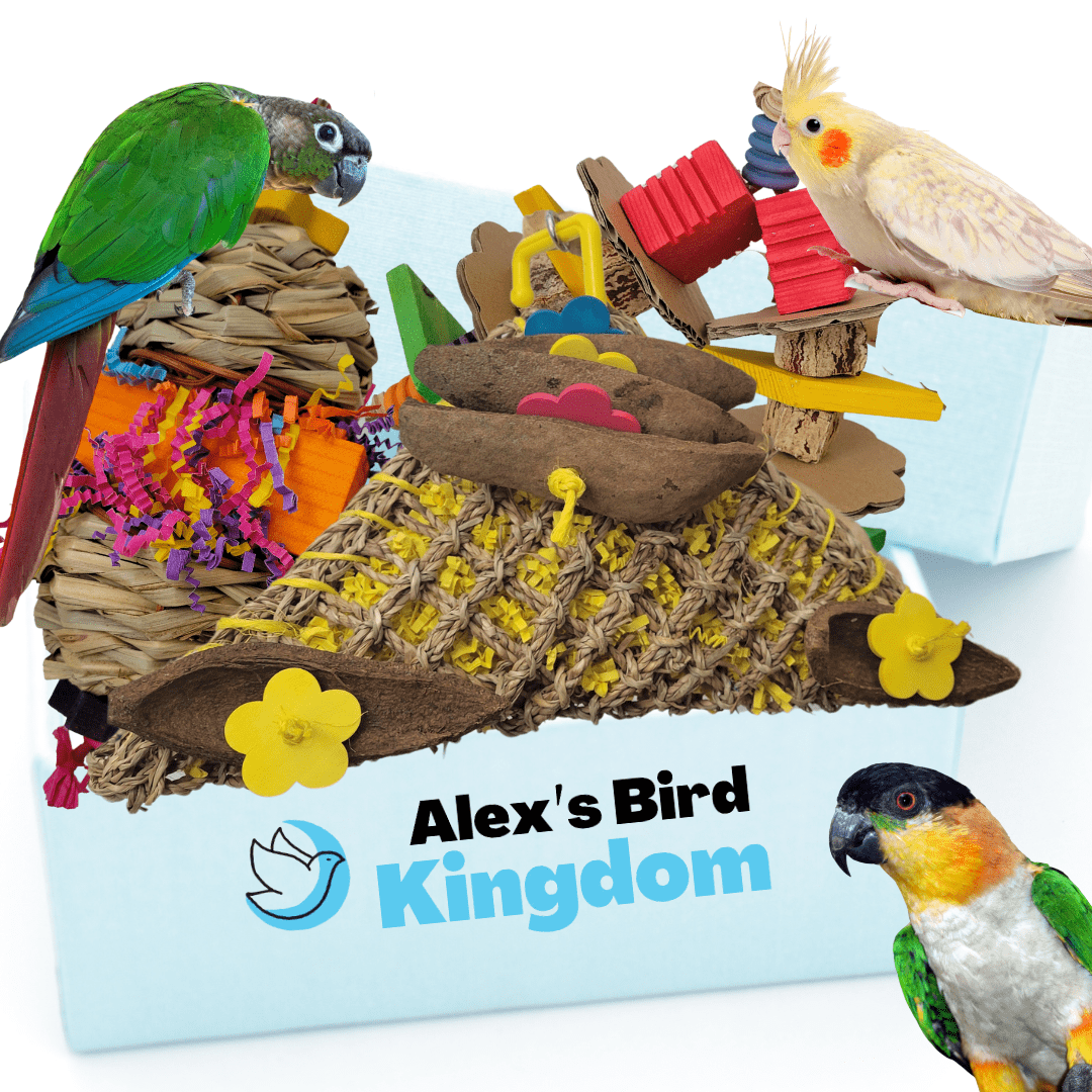 Alex Bird Toys Bird Toys Medium Parrot Toy Bundle | Enrichment Kit for Cockatiels, Conures, Caiques & More