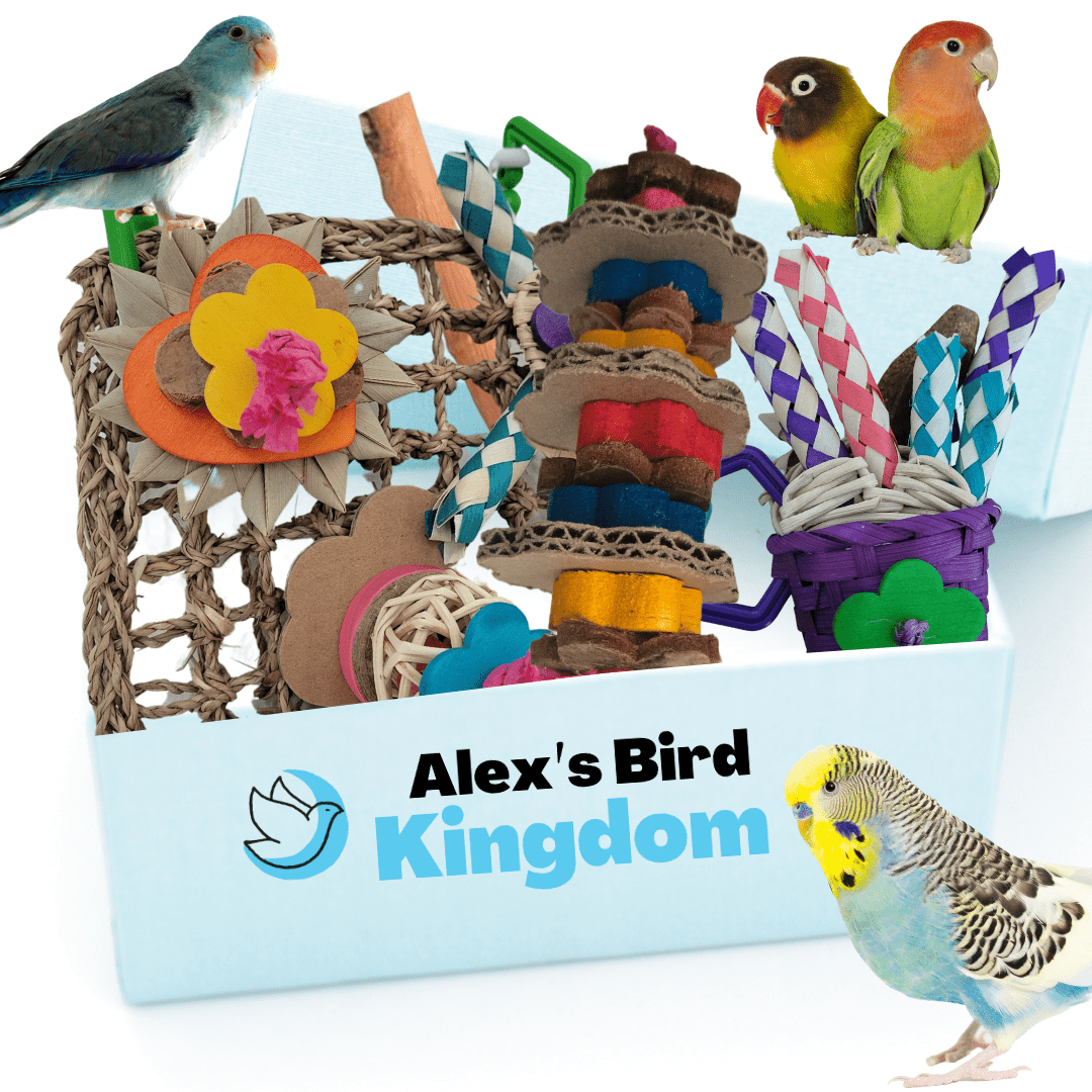 Alex Bird Toys Bird Toys Petite Parrot Enrichment Kit – For Budgies, Parrotlets, and Lovebirds