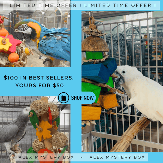 Alex's Bird Kingdom Bird Toys Alex Mystery Box – Best Sellers Edition
