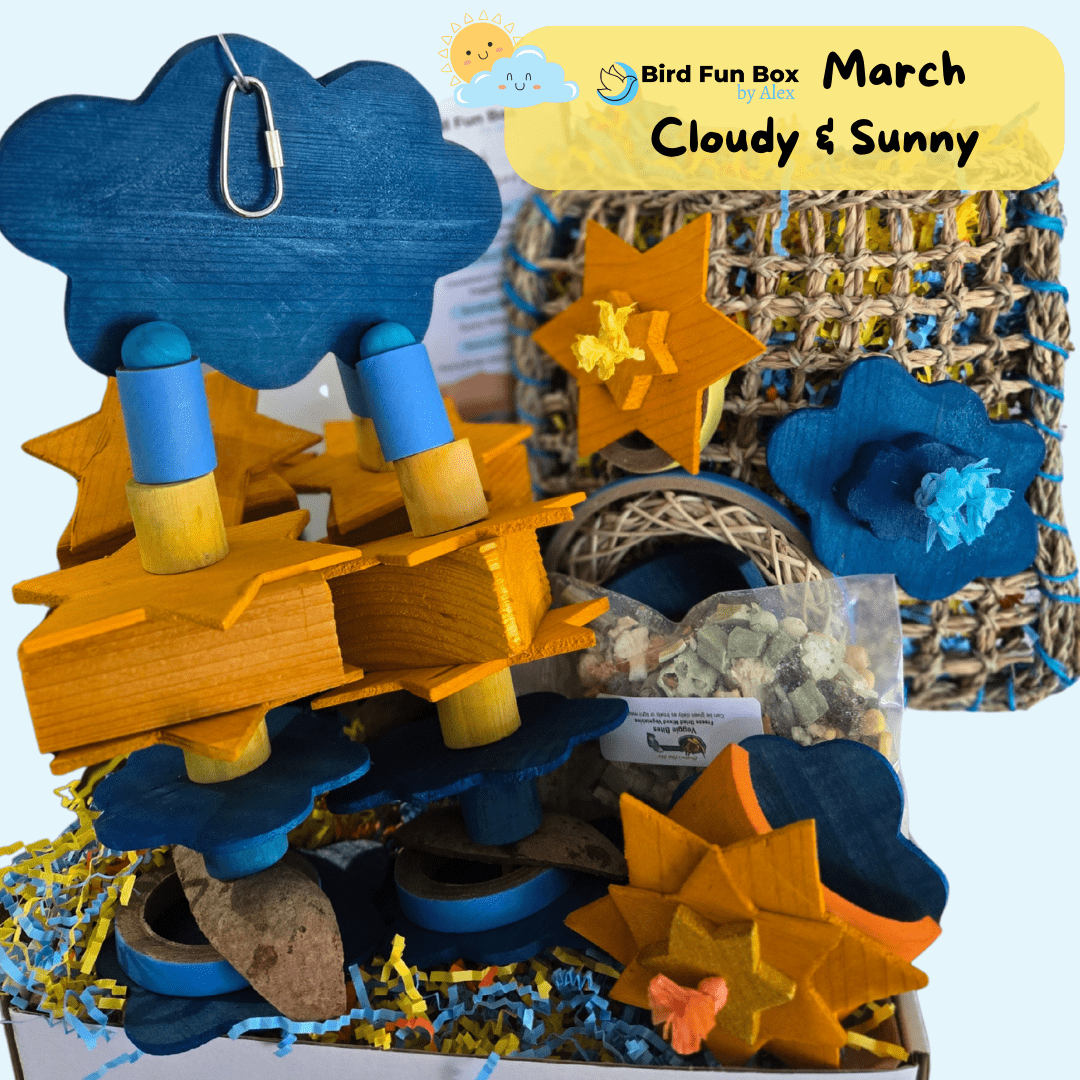 Alex's Bird Kingdom Bird Toys Bird Fun Box by Alex - Big - Monthly Subscription Box