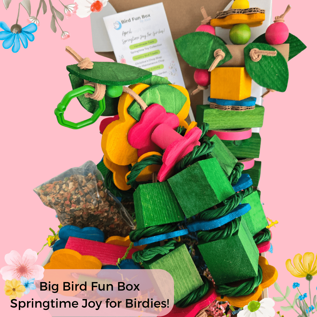 Alex's Bird Kingdom Bird Toys Bird Fun Box by Alex - Big - Monthly Subscription Box
