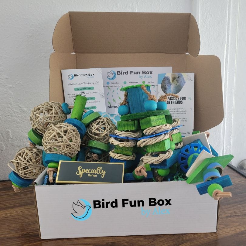 Alex's Bird Kingdom Bird Toys Bird Fun Box by Alex - Big - Monthly Subscription Box