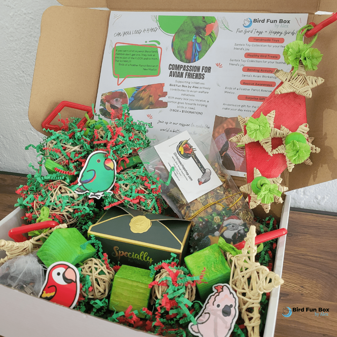 Alex's Bird Kingdom Bird Toys Bird Fun Box by Alex - Big - Monthly Subscription Box