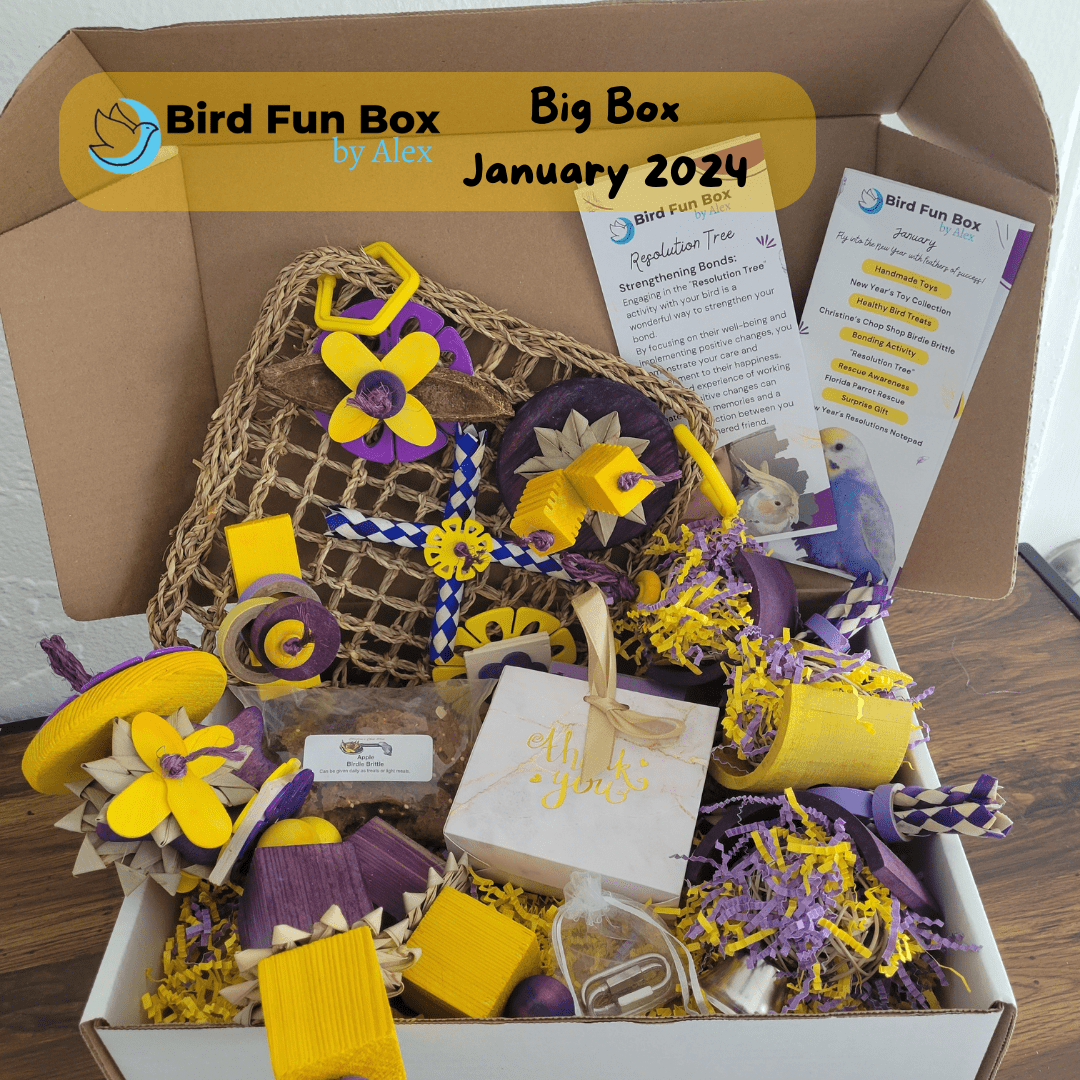Alex's Bird Kingdom Bird Toys Bird Fun Box by Alex - Big - Monthly Subscription Box