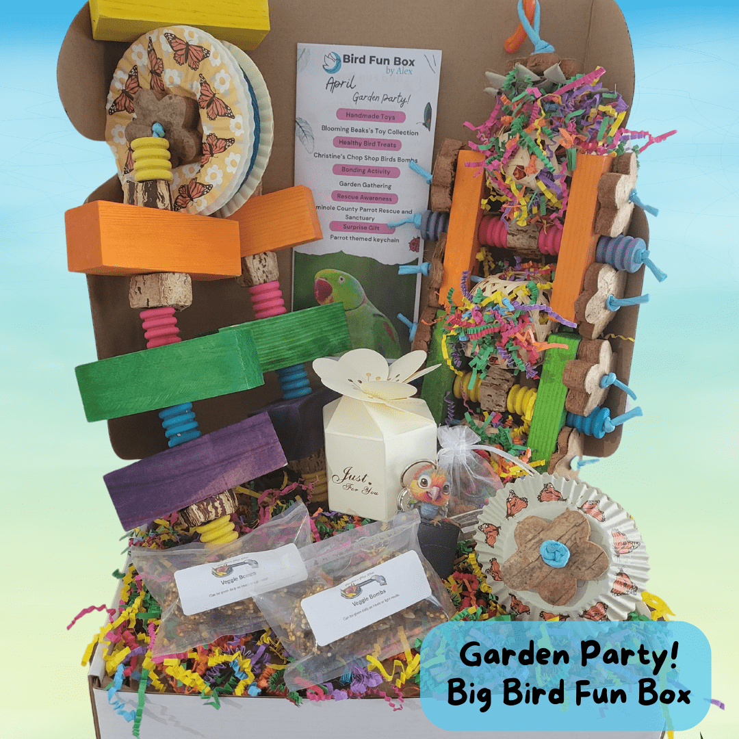 Alex's Bird Kingdom Bird Toys Bird Fun Box by Alex - Big - Monthly Subscription Box