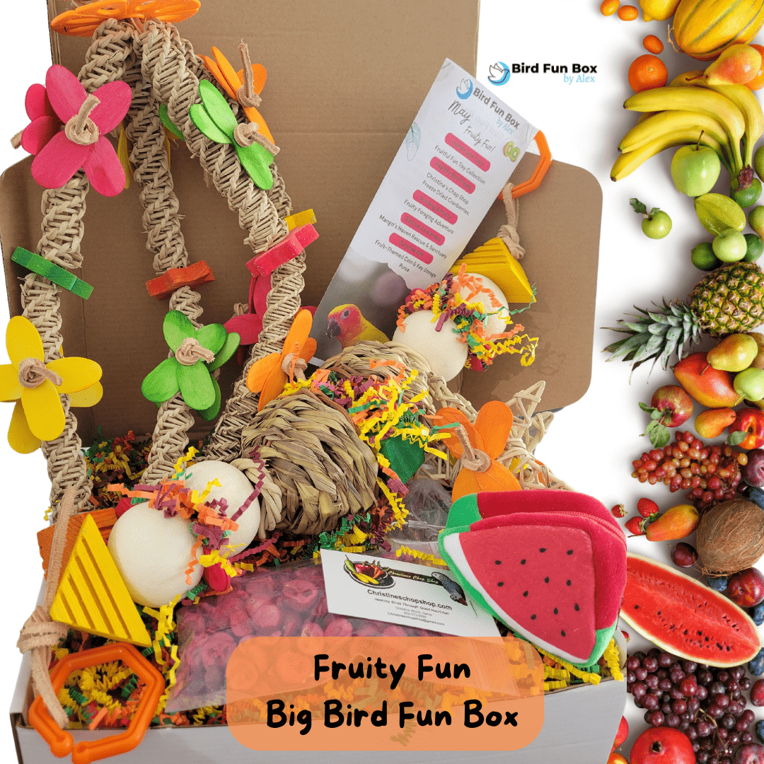 Alex's Bird Kingdom Bird Toys Bird Fun Box by Alex - Big - Monthly Subscription Box