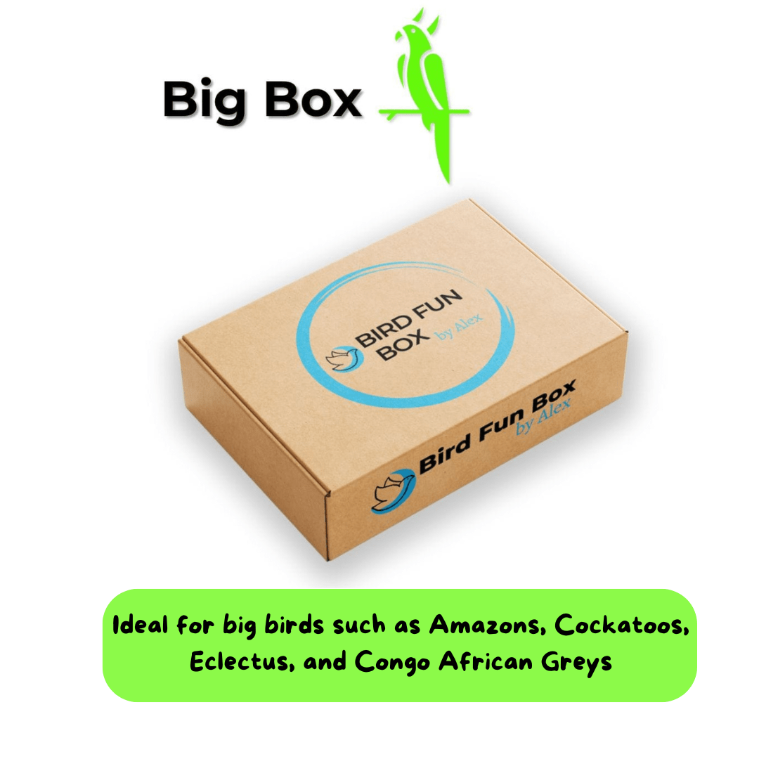 Alex's Bird Kingdom- Bird Fun Box by Alex - Monthly subscription box for large parrots with handmade toys and treats for big birds like macaws and cockatoos