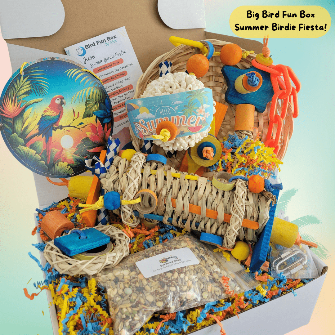 Alex's Bird Kingdom Bird Toys Bird Fun Box by Alex - Big - Monthly Subscription Box