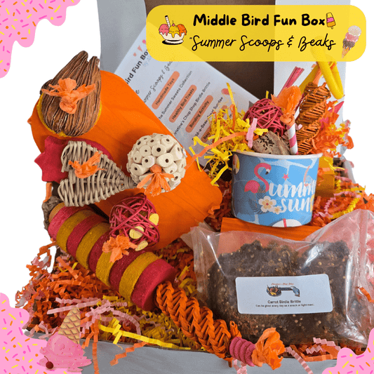Bird Fun Box by Alex – monthly subscription box for parrots with toys and treats