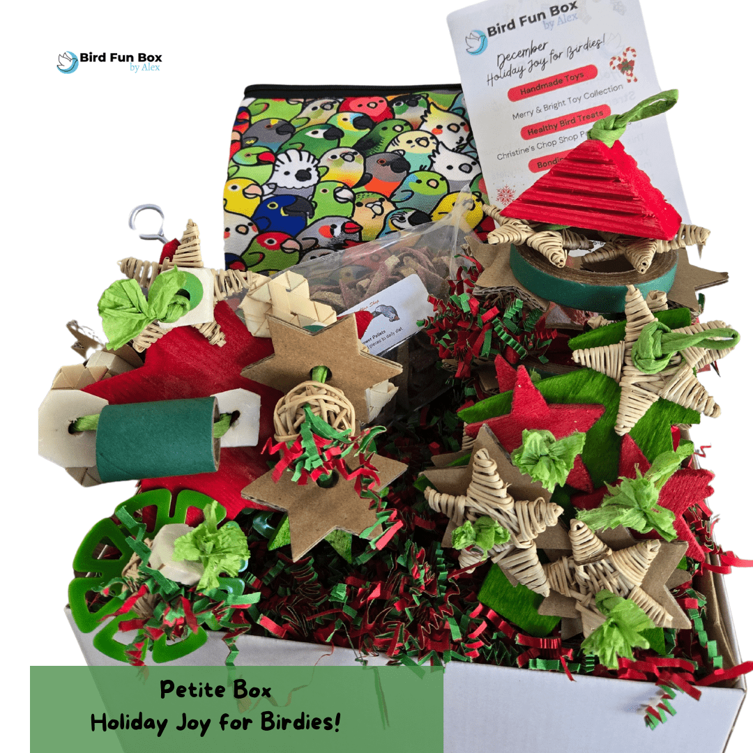 Petite Bird Fun Box monthly bird toy subscription box for small birds like parakeets, small conures, parrotlet, cockatiels