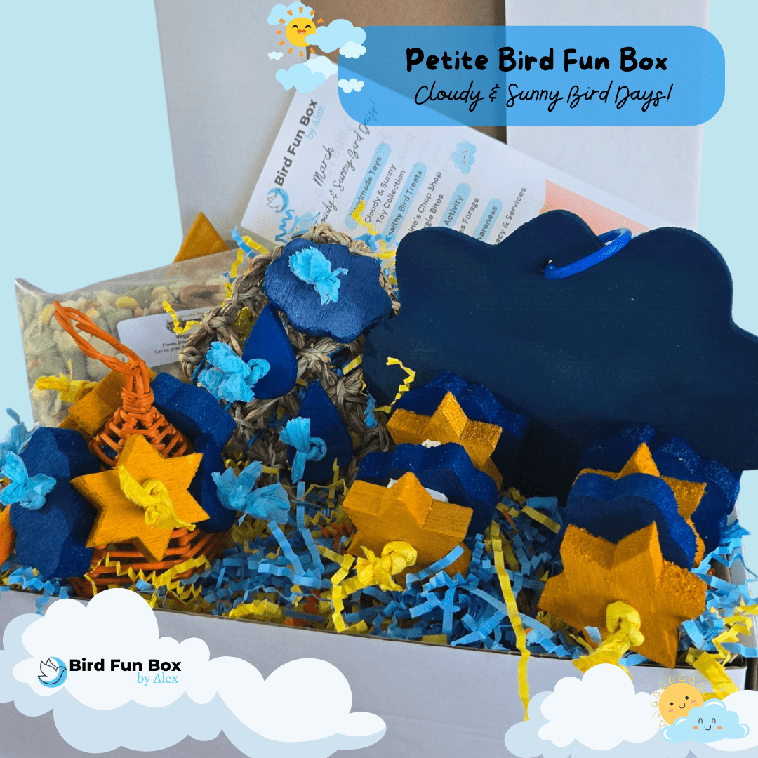 Alex's Bird Kingdom Bird Toys Bird Fun Box by Alex - Petite - Monthly Subscription Box