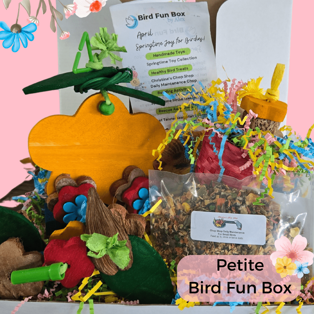 Alex's Bird Kingdom Bird Toys Bird Fun Box by Alex - Petite - Monthly Subscription Box