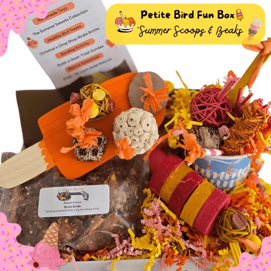 Petite Bird Fun Box – monthly bird toy subscription box for small parrots