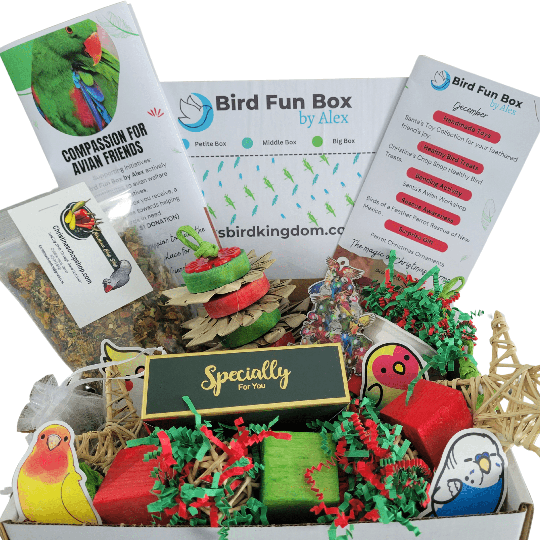 Alex's Bird Kingdom Bird Toys Bird Fun Box by Alex - Petite - Monthly Subscription Box