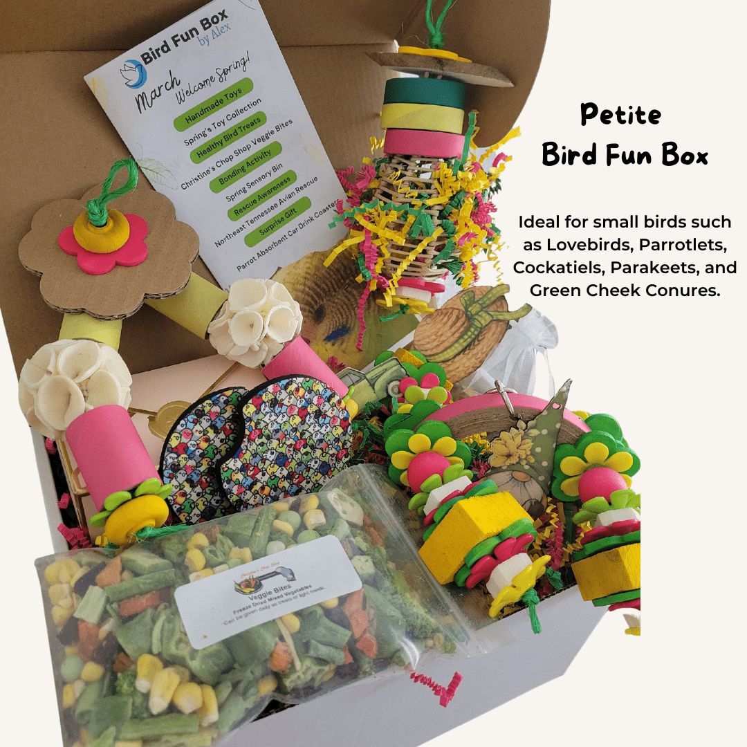 Alex's Bird Kingdom Bird Toys Bird Fun Box by Alex - Petite - Monthly Subscription Box
