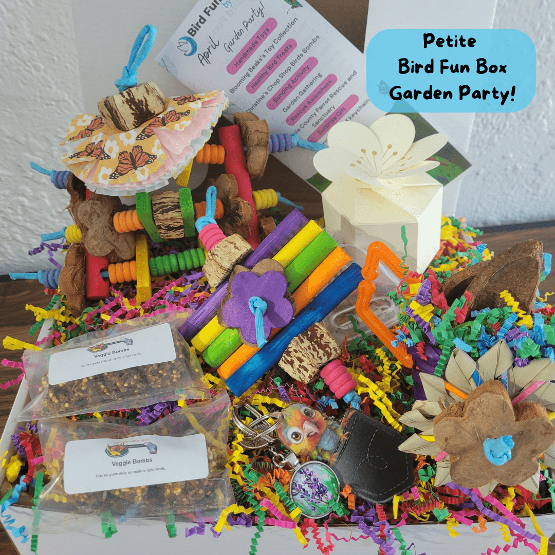 Alex's Bird Kingdom Bird Toys Bird Fun Box by Alex - Petite - Monthly Subscription Box