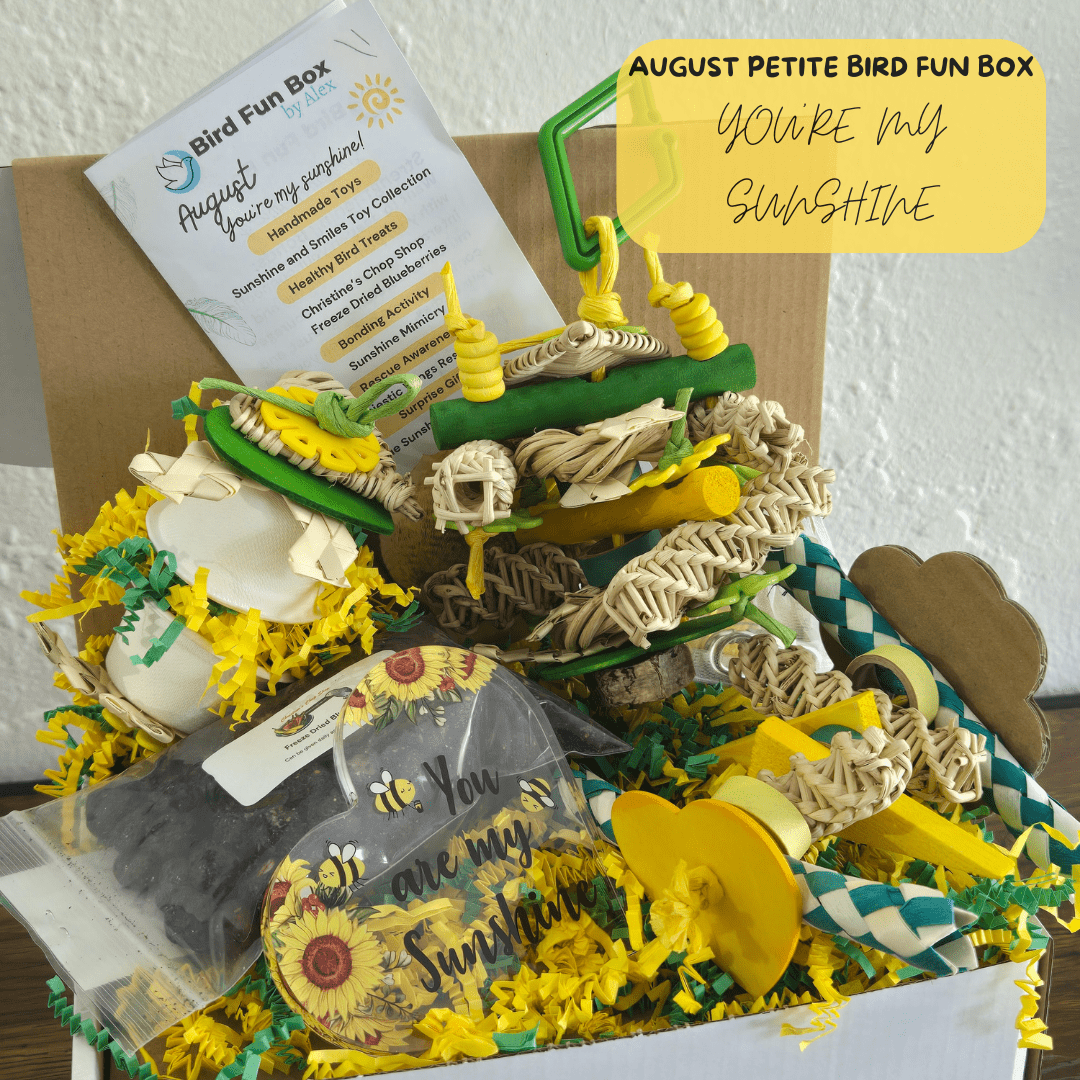 Petite Bird Fun Box monthly bird toy subscription box for small birds like parakeets, small conures, parrotlet, cockatiels