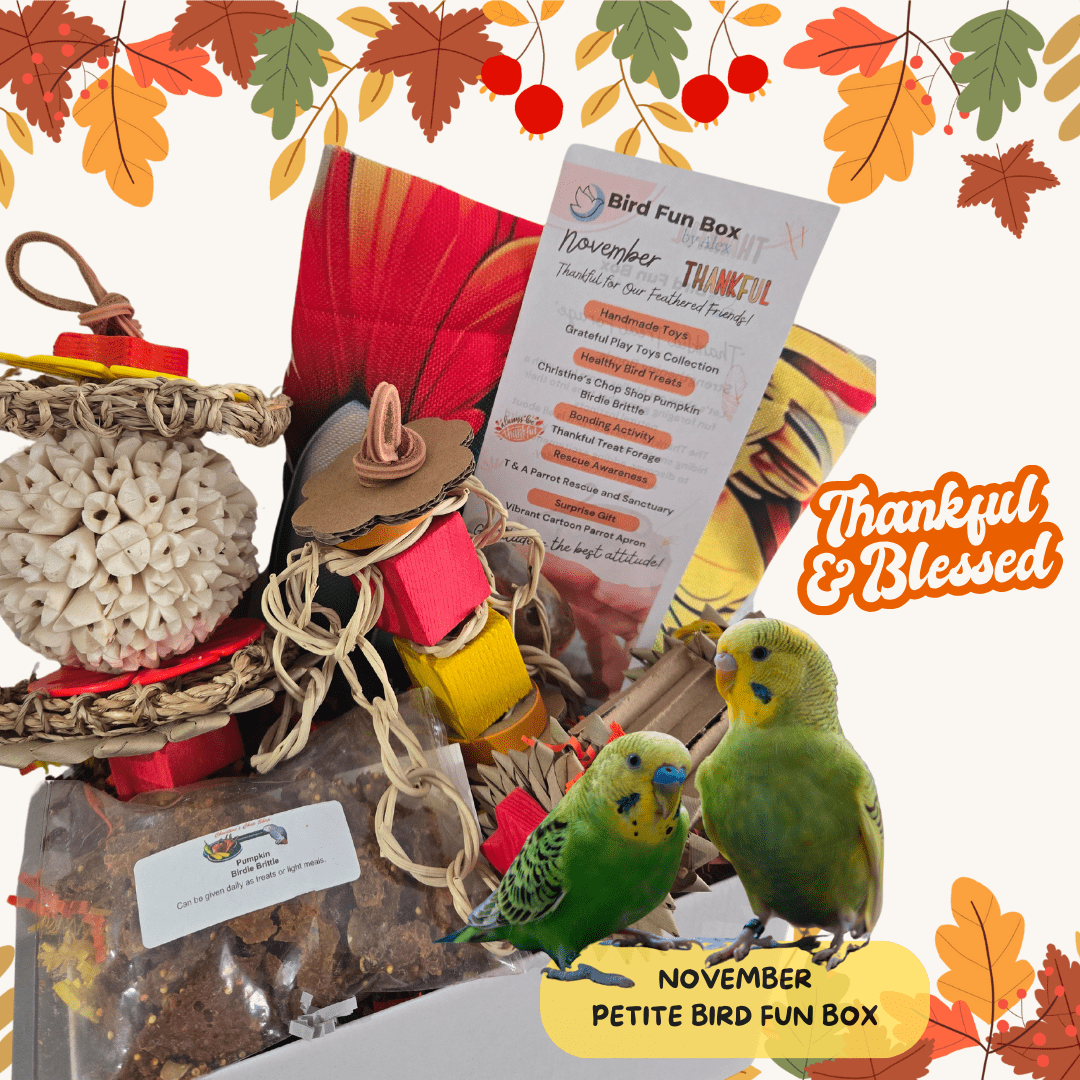 Petite Bird Fun Box monthly bird toy subscription box for small birds like parakeets, small conures, parrotlet, cockatiels