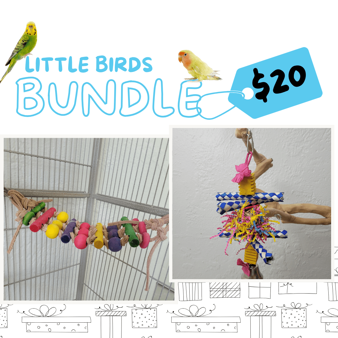 Little Birds Toy Bundle For Parakeets Cockatiels More Alex s Bird little-birds-toy-bundle-for-parakeets-cockatiels-more-alex-s-bird