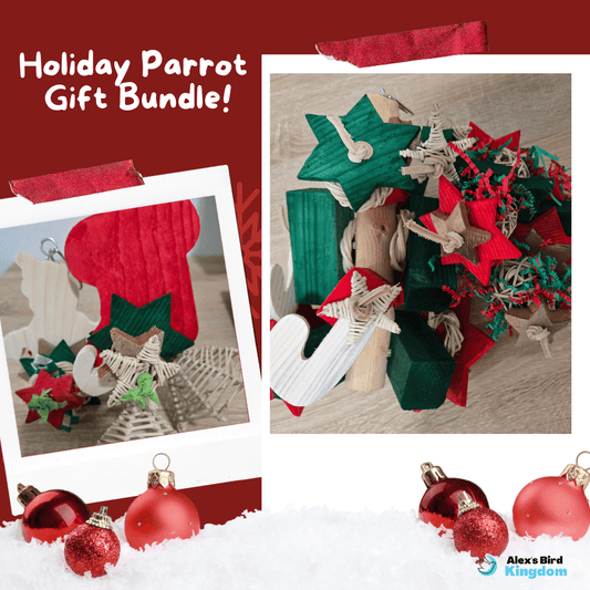 Alex's Bird Kingdom Bird Toys Holiday Parrot Gift Bundle