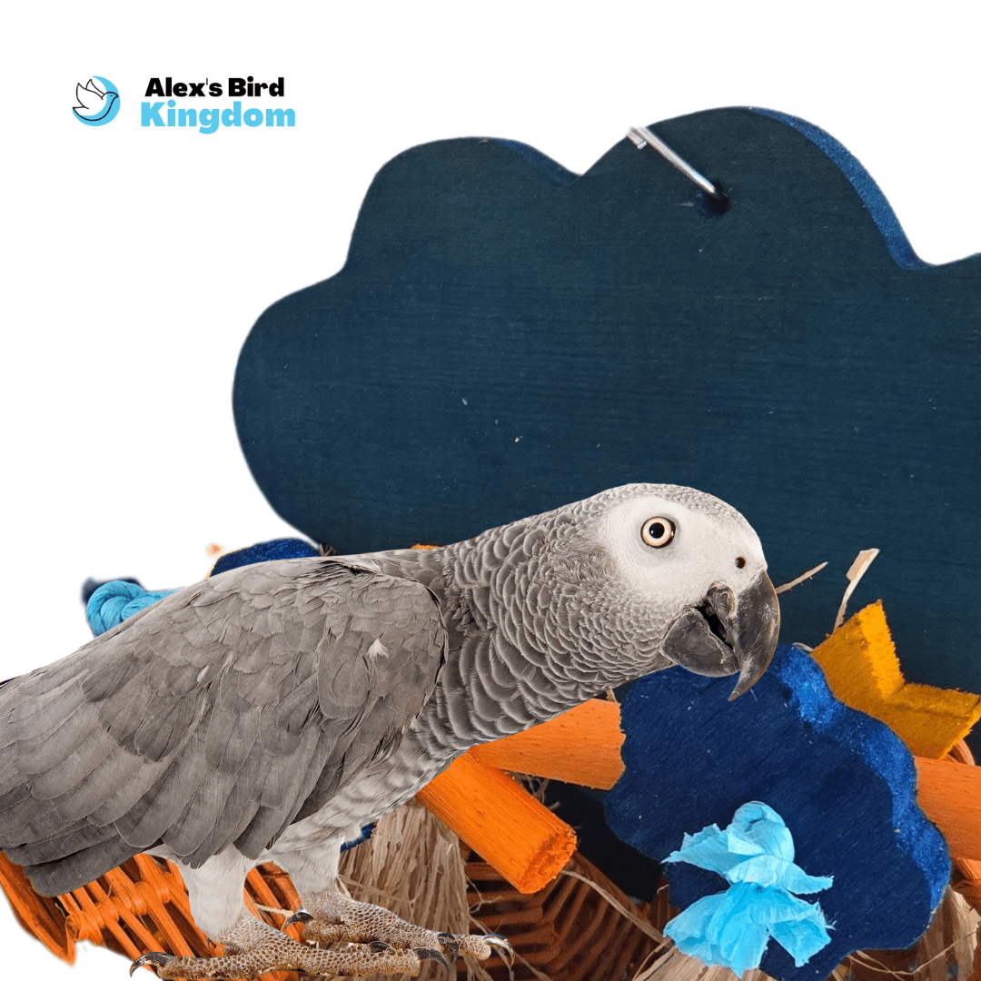 Alex's Bird Kingdom Bird Toys Medium Birds Cloudy Busy Board for Parrots