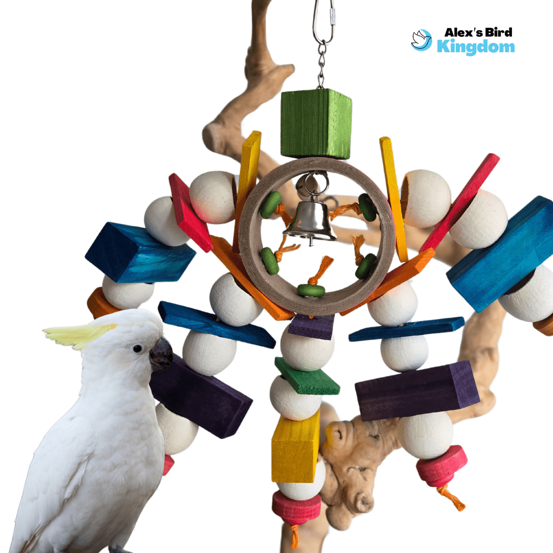 A closer look at Setting Up A Large Macaw Aviary With Foraging Toys