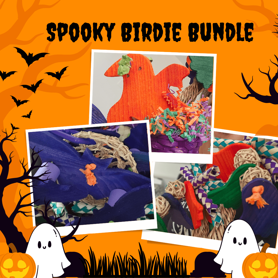 Alex's Bird Kingdom Bird Toys Spooky Birdie Bundle – Limited Edition