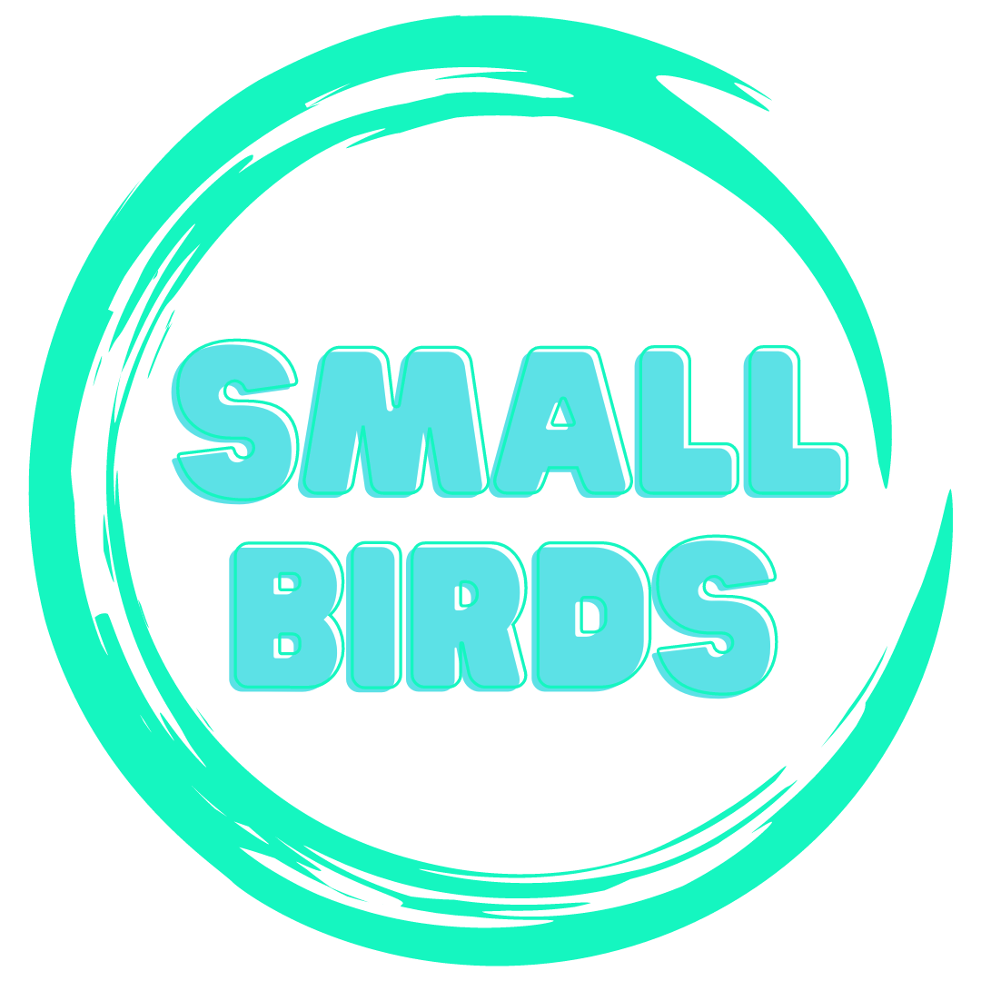Handmade Alex Bird Toys