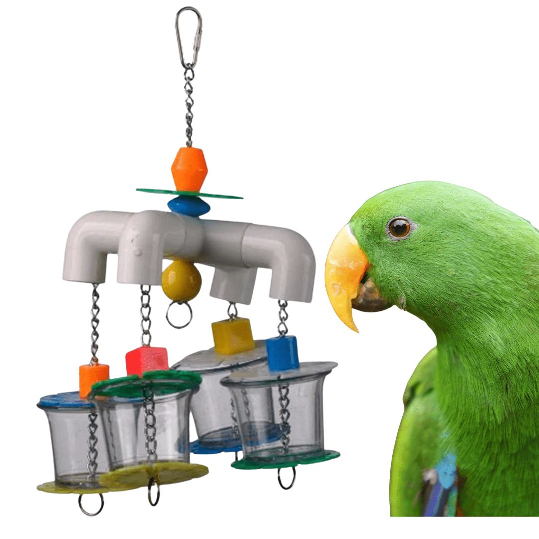 Parrot clearance bird toys