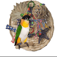 Super Bird Creations Bird Toys Busy Birdie Play Perch