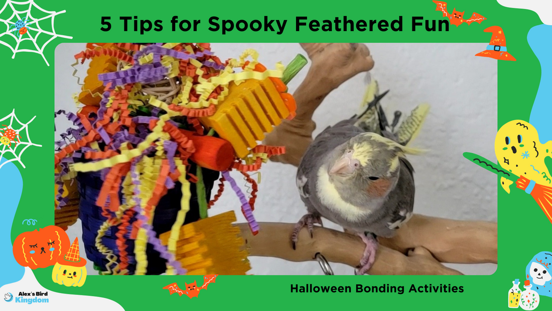 5 Tips for Spooky Feathered Fun