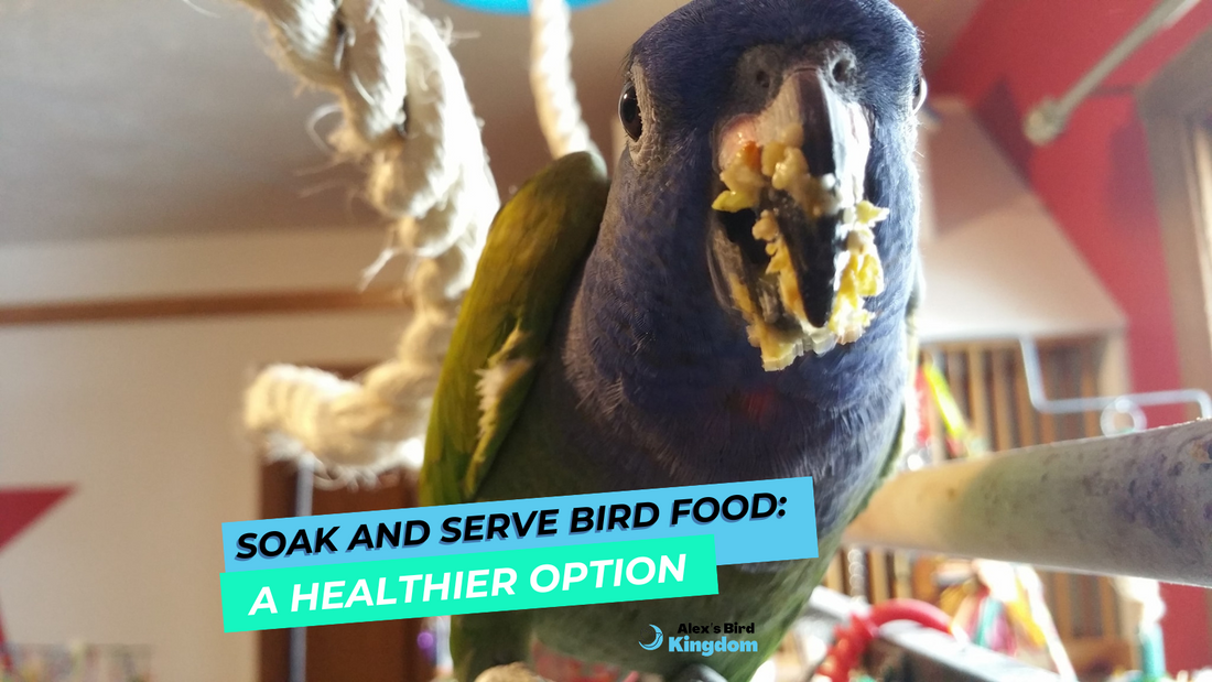 Soak and Serve Bird Food: A Healthier Option for Your Birds