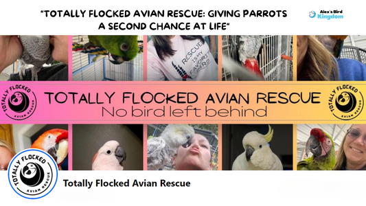 Totally Flocked Avian Rescue: “No Bird Left Behind”