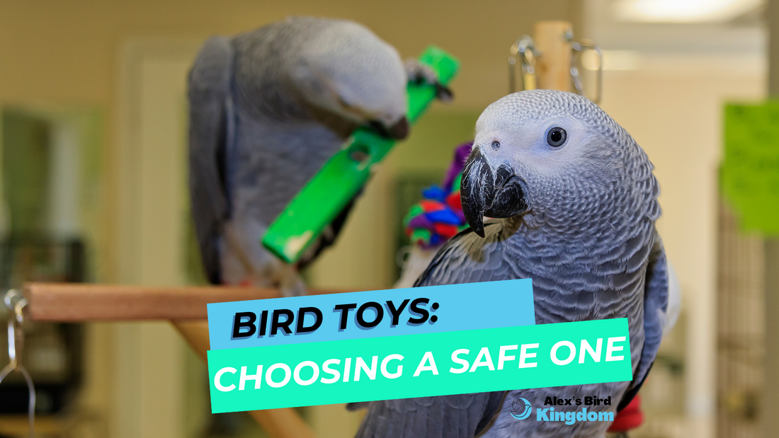 Bird Toys: Choosing a Safe One