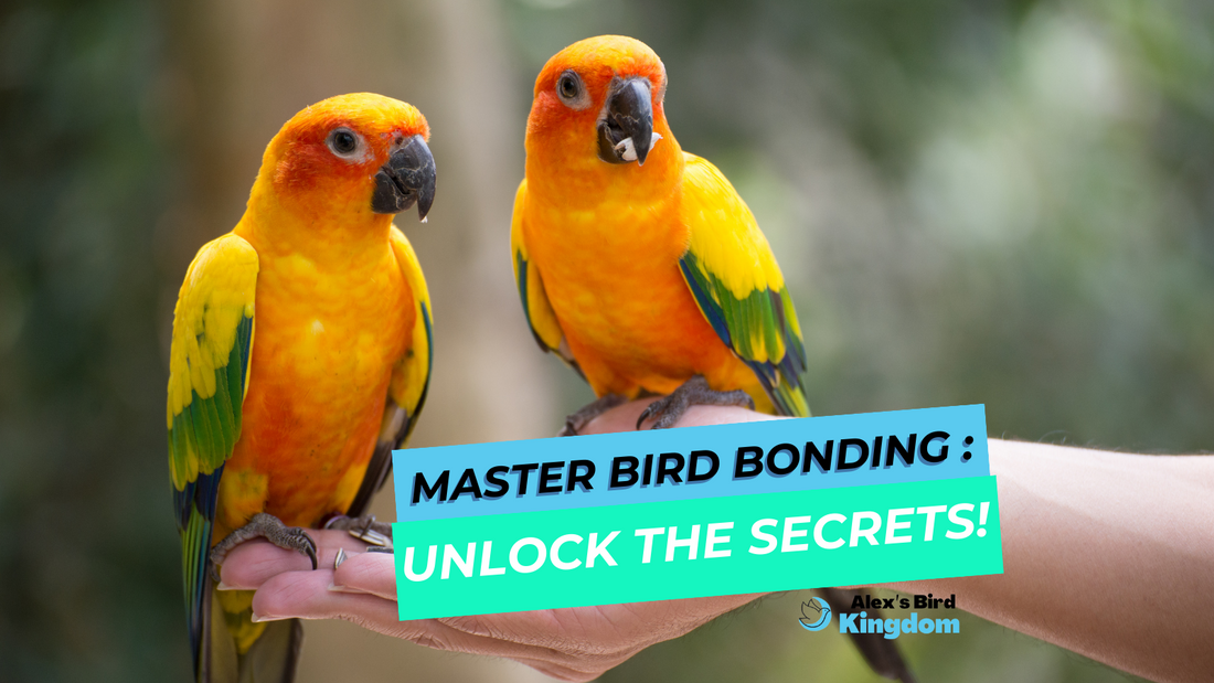 How to Build an Unbreakable Bond with Your Pet Bird: A Comprehensive Guide to Fostering Love and Trust