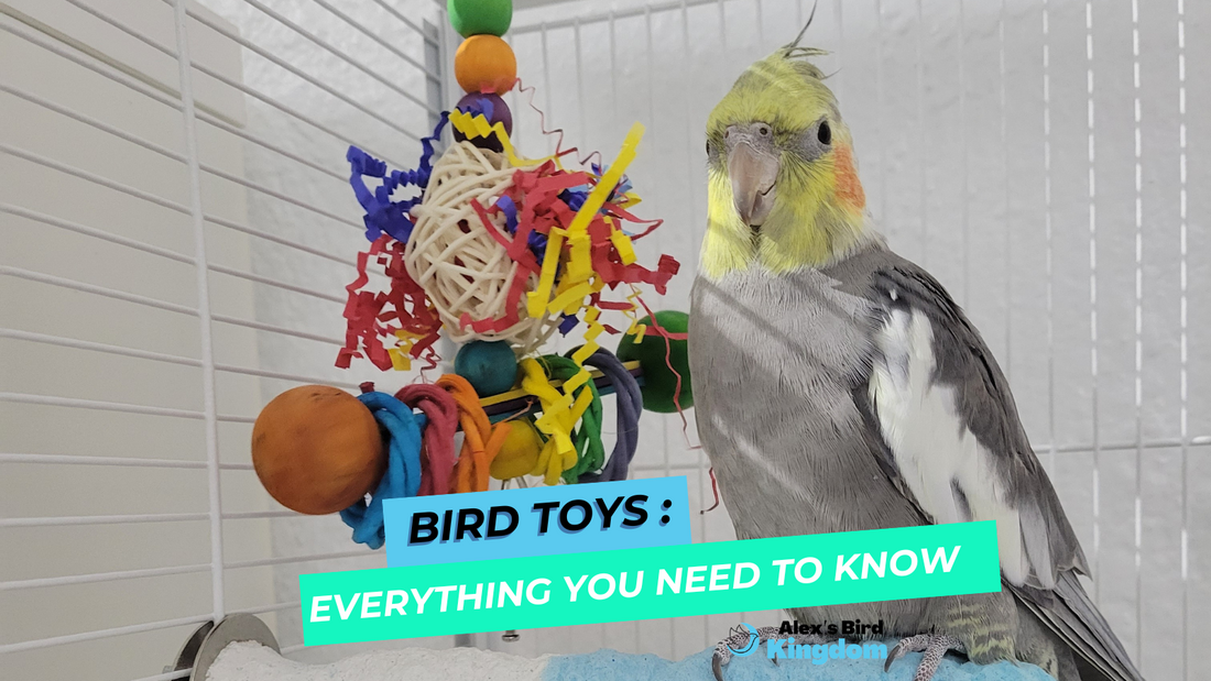 Bird Toys: Everything You Need to Know to Find the Best Toys for Your Feathered Friend