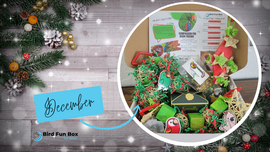 Unwrapping the Magic: December Bird Fun Box Reveal!