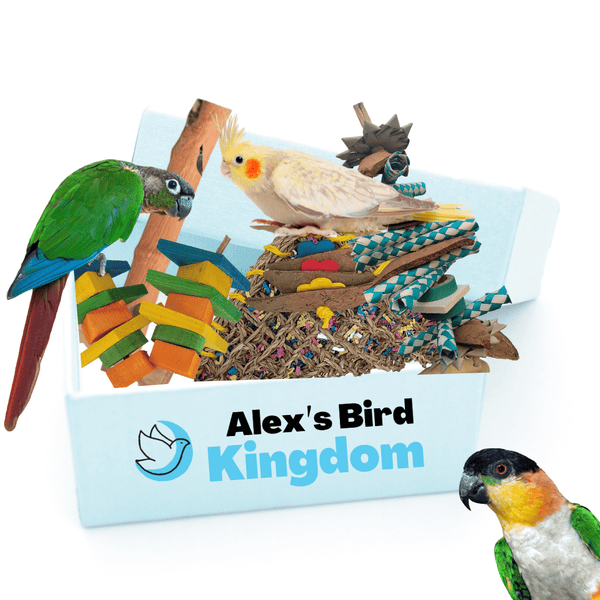 Alex Bird Toys Bird Toys Deluxe Medium Parrot Enrichment Kit