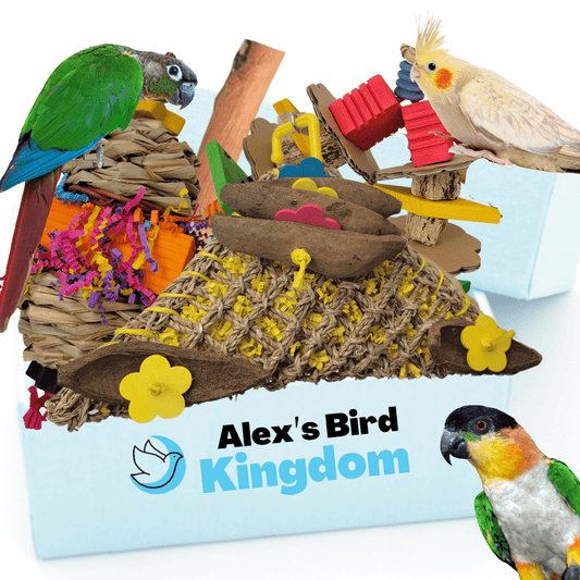 Alex Bird Toys Bird Toys Deluxe Medium Parrot Enrichment Kit – For Conures, Cockatiels, and Quakers